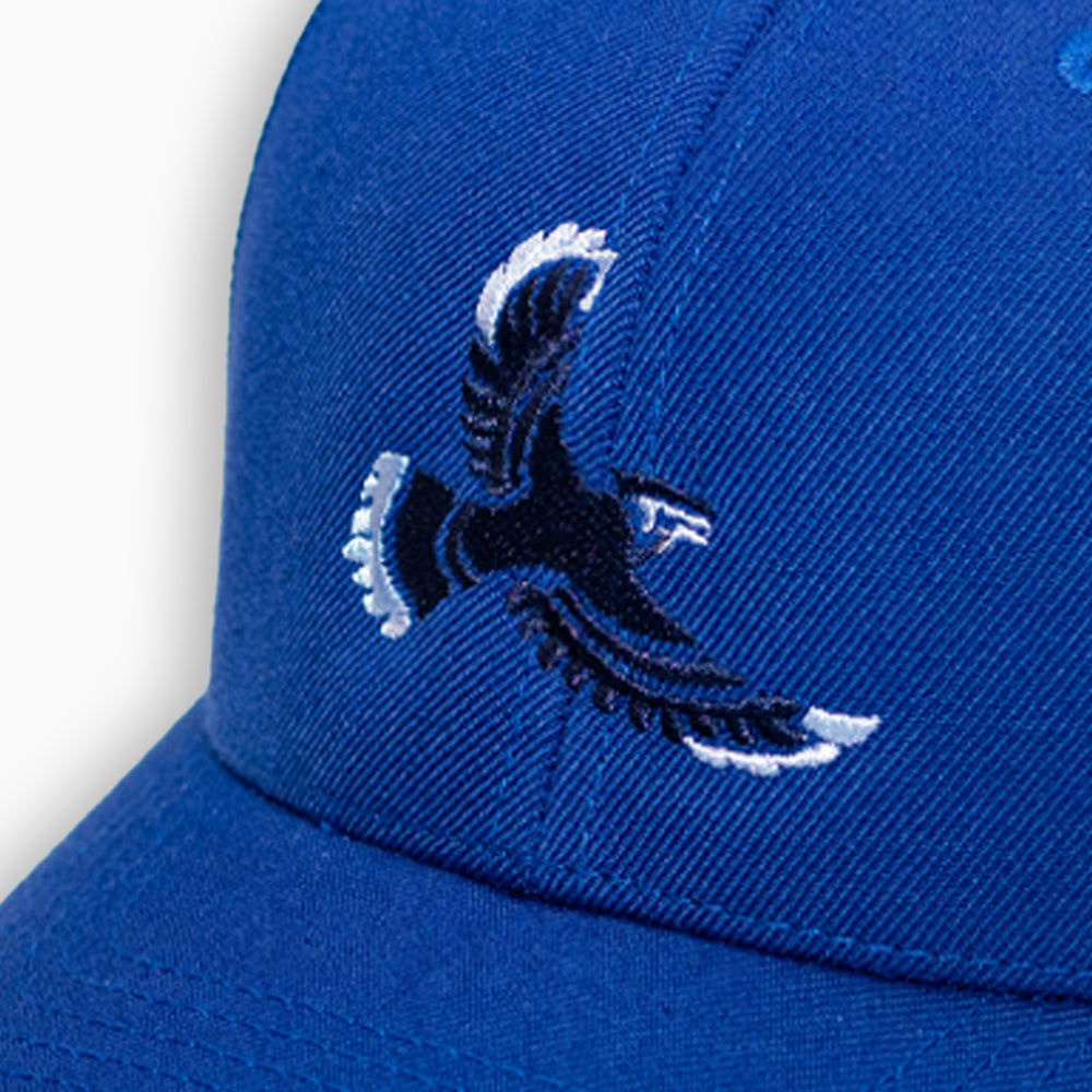 FLYYZ Jays - blue