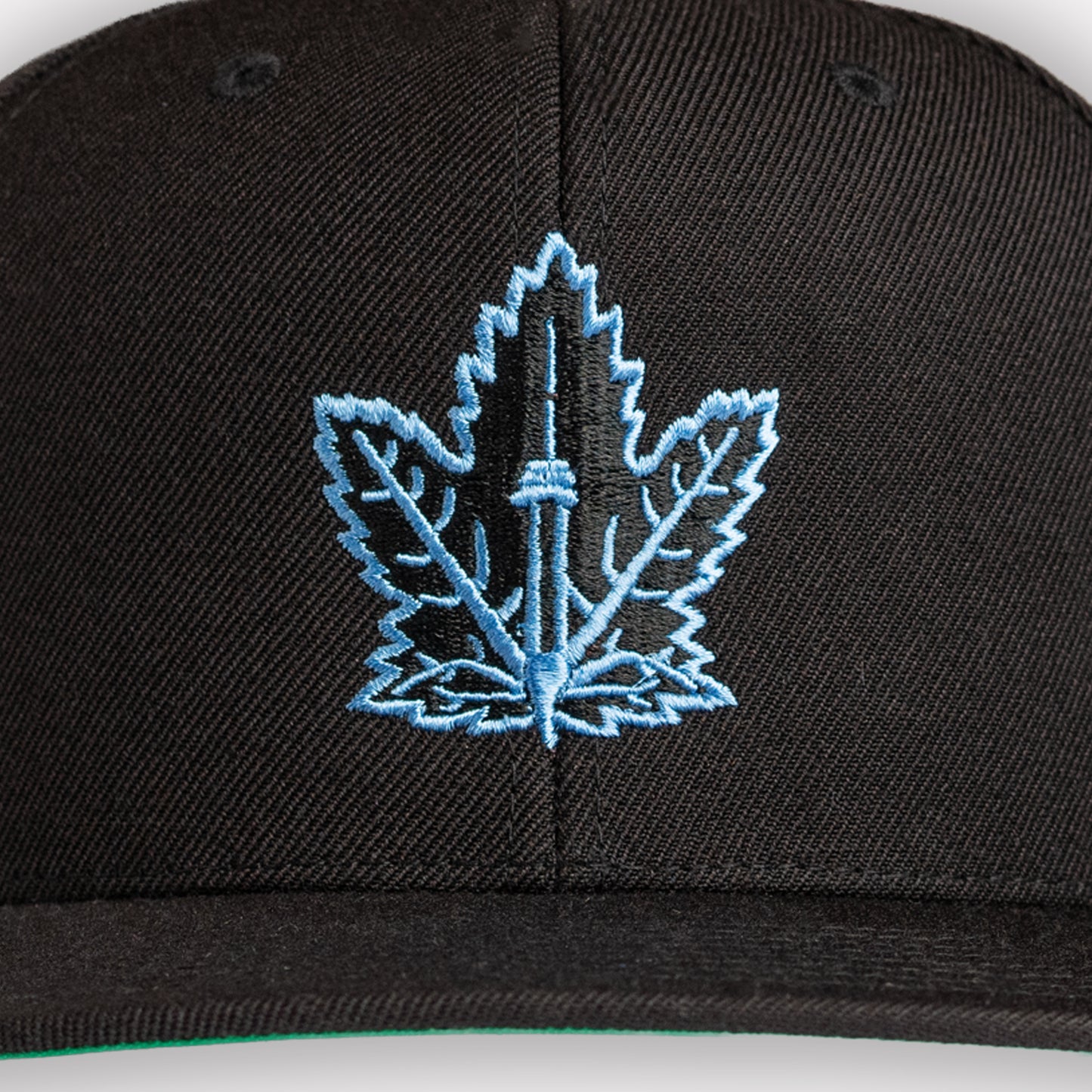 Champion Leaf Snapback Black/Ice blue