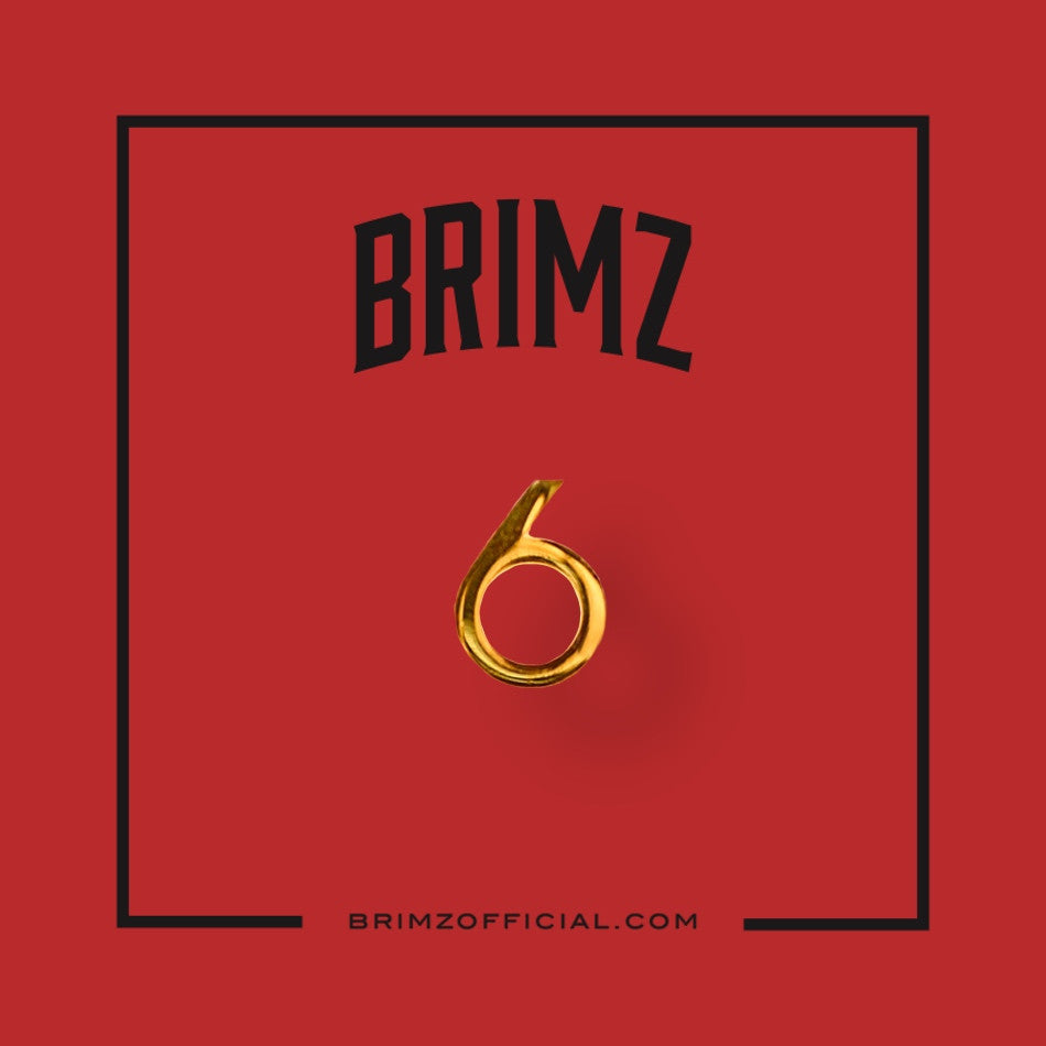 PIN - brimzofficial
