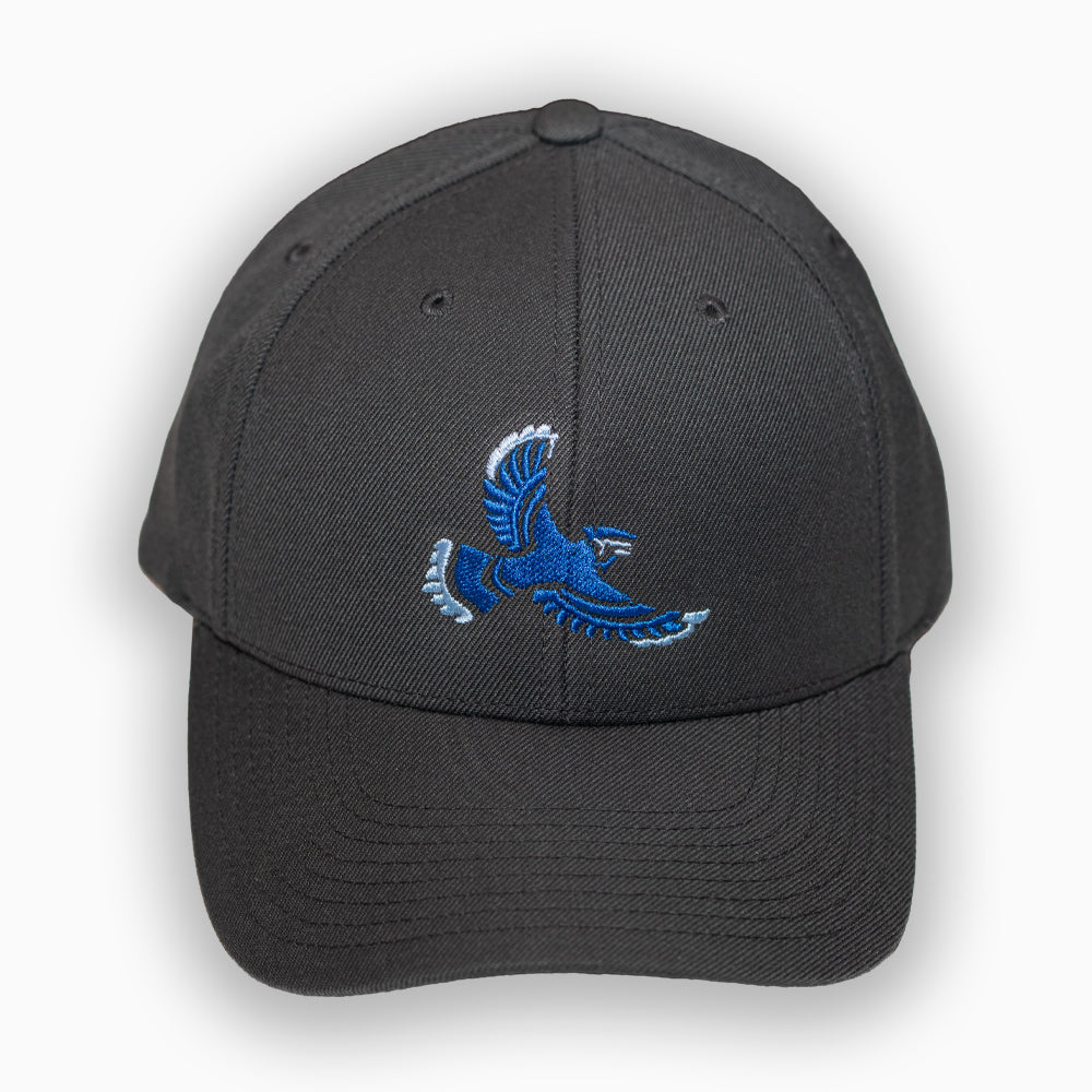 FLYYZ Jays - Charcoal