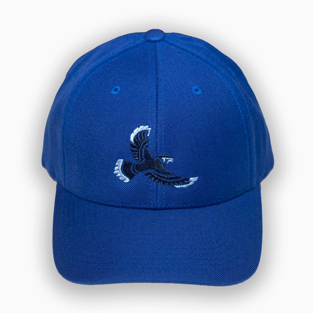 FLYYZ Jays - blue