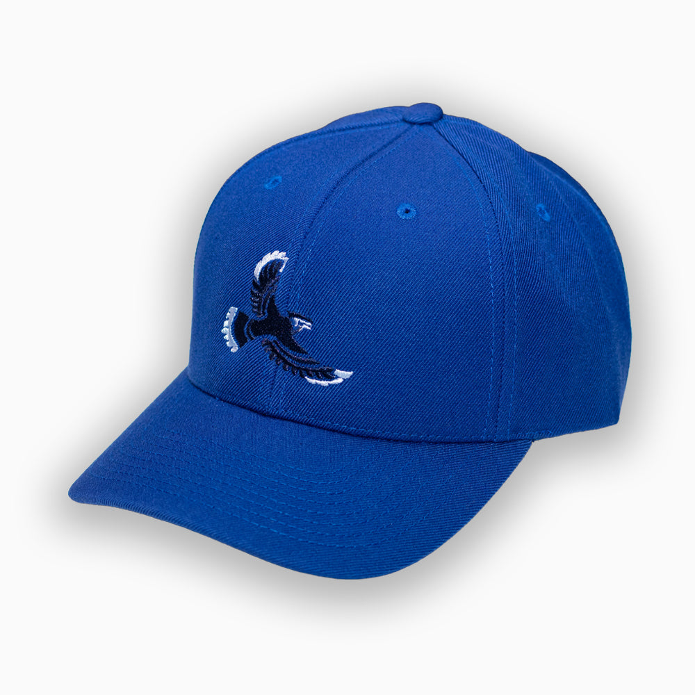 FLYYZ Jays - blue
