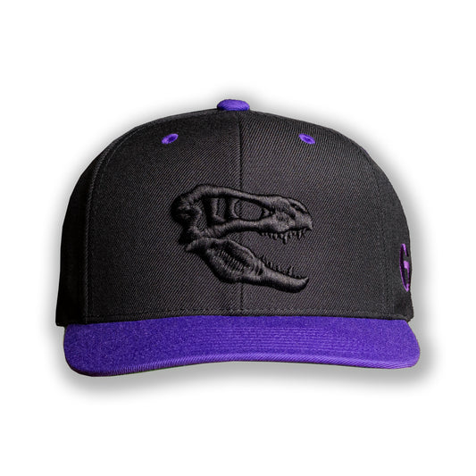 Champion Savage - Raptors6 - black/purple