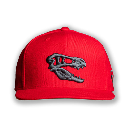 Champion Savage Raptors Snapback - Red