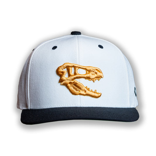 Champion Savage Raptors Snapback - Black/White/Gold