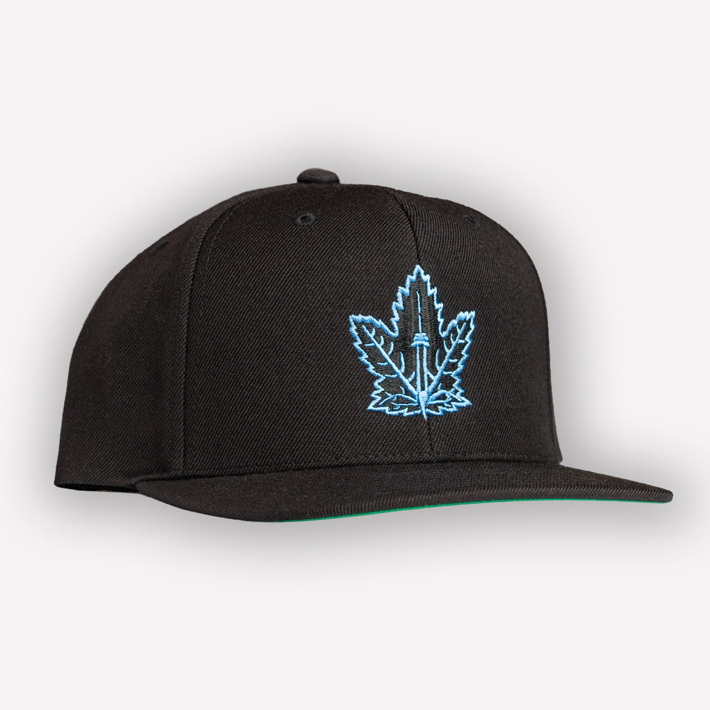 Champion Leaf Snapback Black/Ice blue