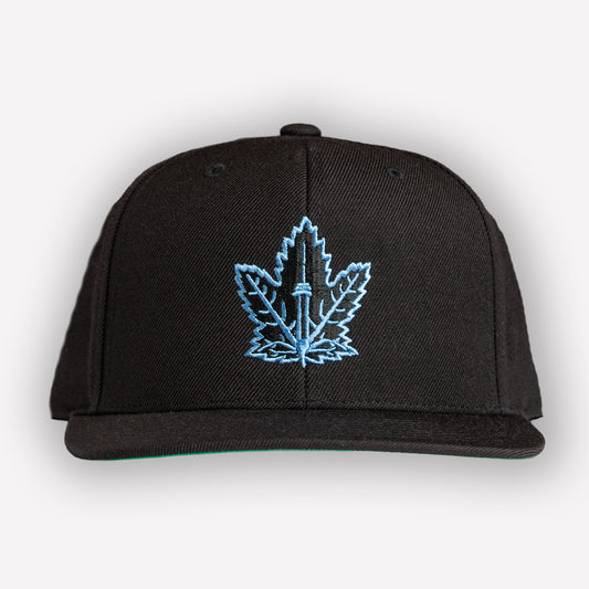 Champion Leaf Snapback Black/Ice blue