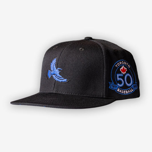 FLYYZ Jays 50 Special Edition Bluebird - Black