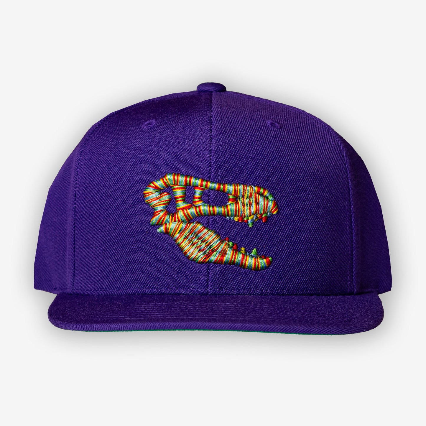 Champion Savage Raptors Snapback - Purple/Multi colour