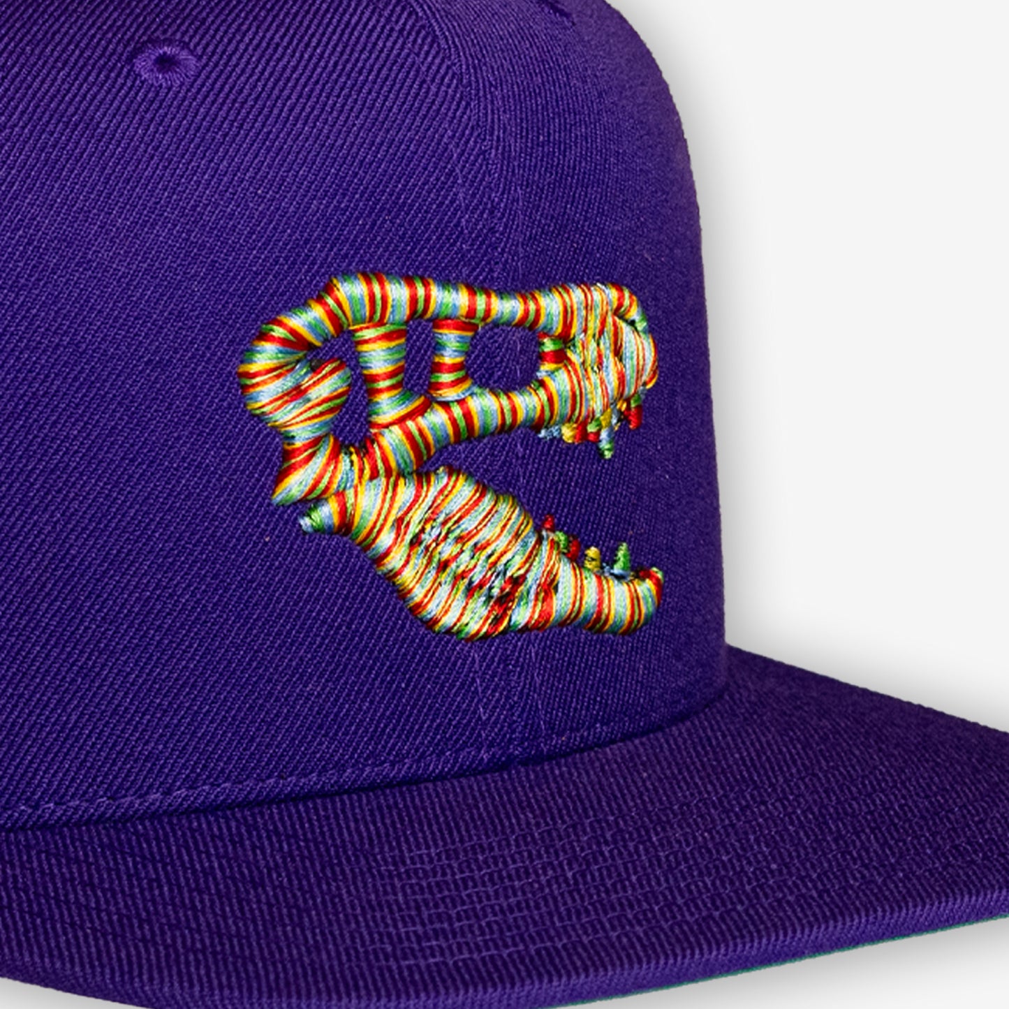 Champion Savage Raptors Snapback - Purple/Multi colour