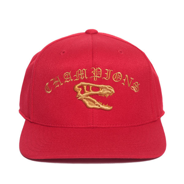 Champion on sale hat outfit