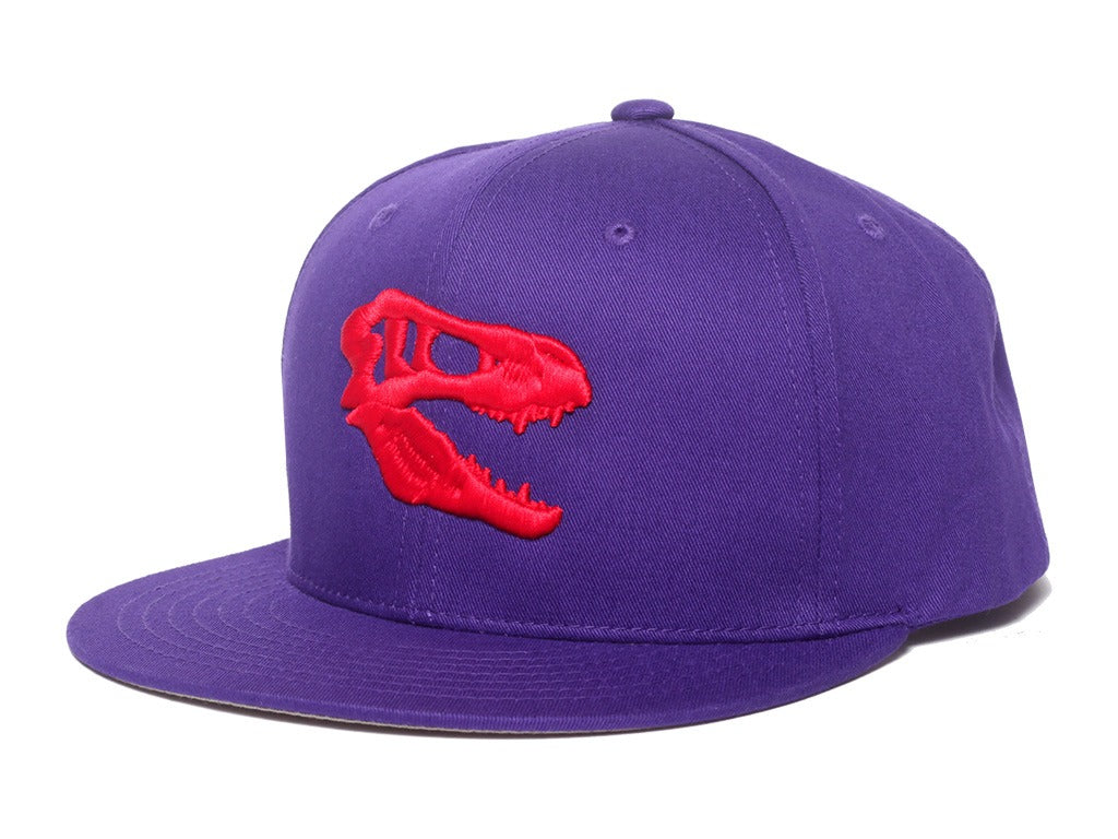 Savage Snapback (Purple)